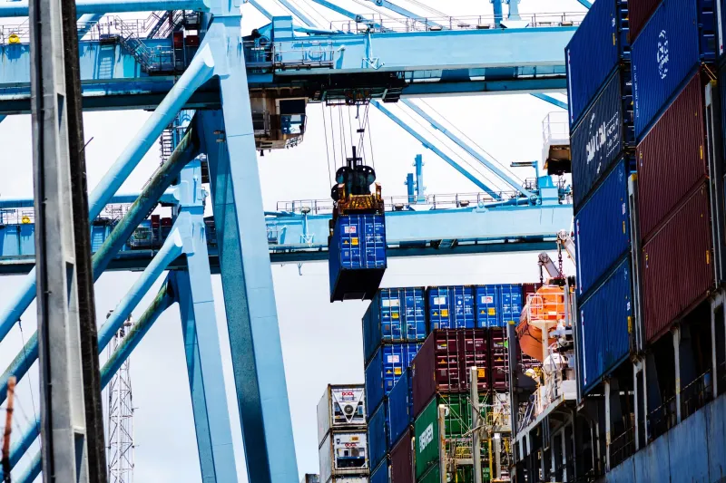 Structural Resilience: Why Integrated Business Groups Outperform Specialists When Global Markets Fracture